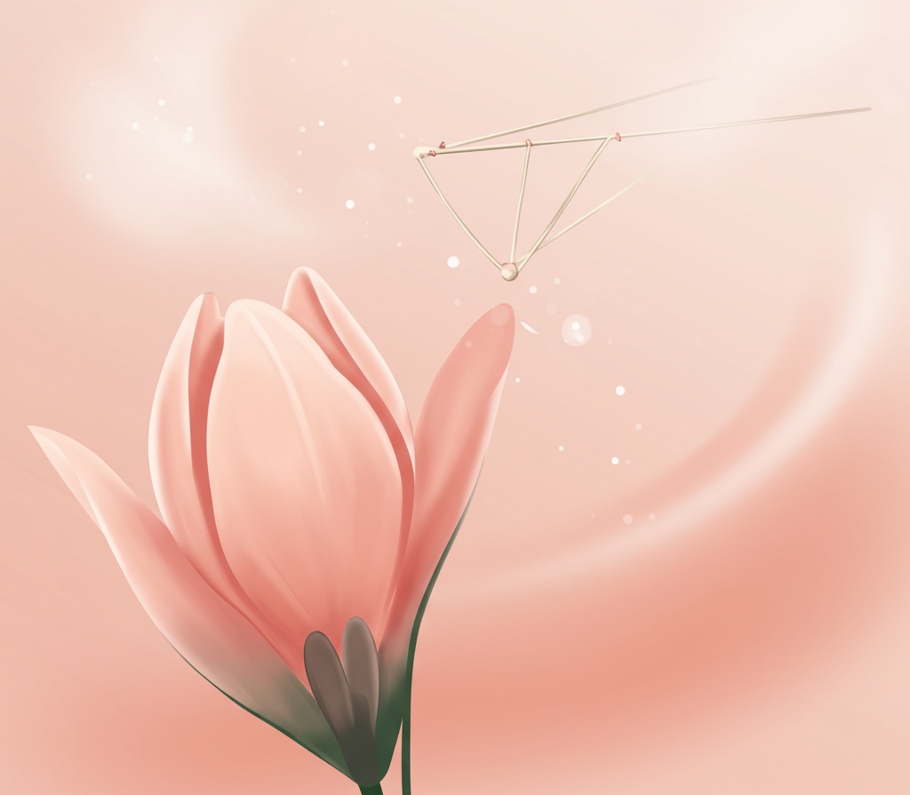 Wenn die Vagina verkrampft: Vaginismus